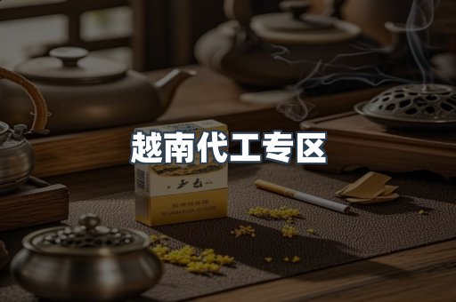 越南代工专区
